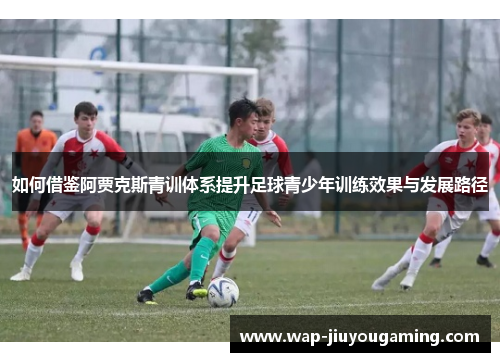 如何借鉴阿贾克斯青训体系提升足球青少年训练效果与发展路径