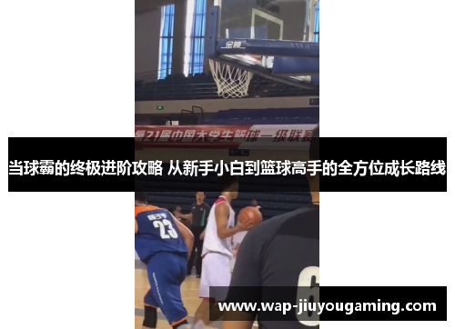 当球霸的终极进阶攻略 从新手小白到篮球高手的全方位成长路线