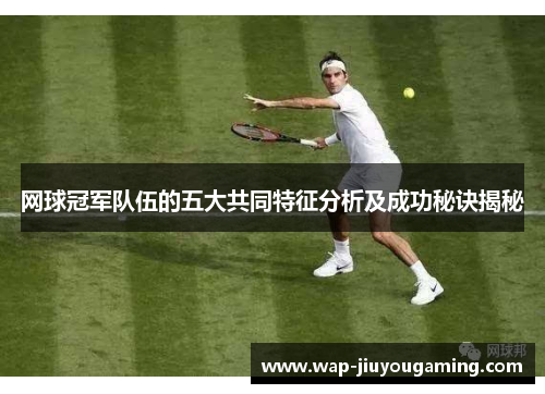 网球冠军队伍的五大共同特征分析及成功秘诀揭秘