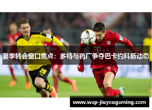 夏季转会窗口焦点：多特与药厂争夺巴卡约科新动态