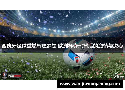 西班牙足球重燃辉煌梦想 欧洲杯夺冠背后的激情与决心