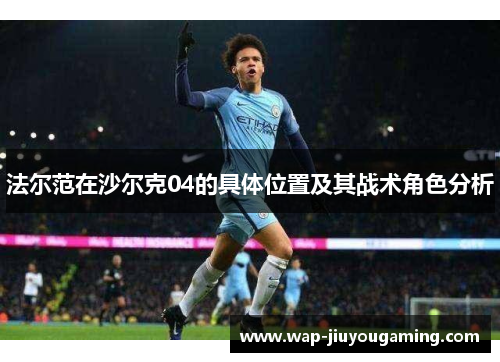 法尔范在沙尔克04的具体位置及其战术角色分析