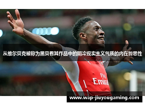 从维尔贝克被称为黑贝看其作品中的阴冷现实主义气质的内在哲思性